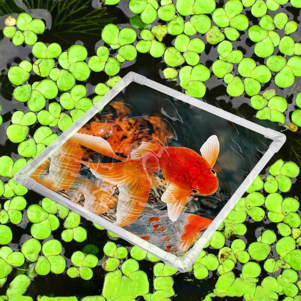 Aquarium Fish Zone - Aquarium drijvende plantenbak voor acryl aquariums