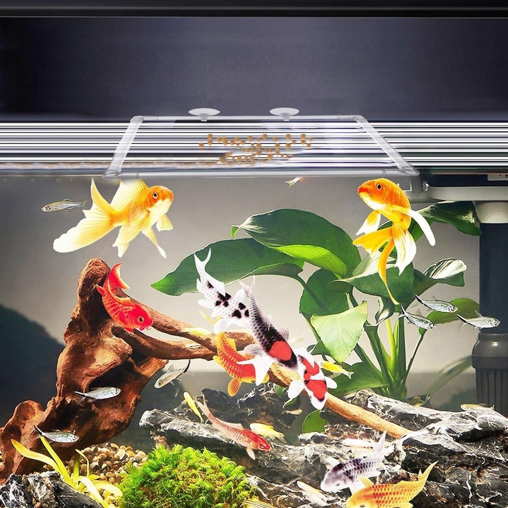 Aquarium Fish Zone - Aquarium drijvende plantenbak voor acryl aquariums