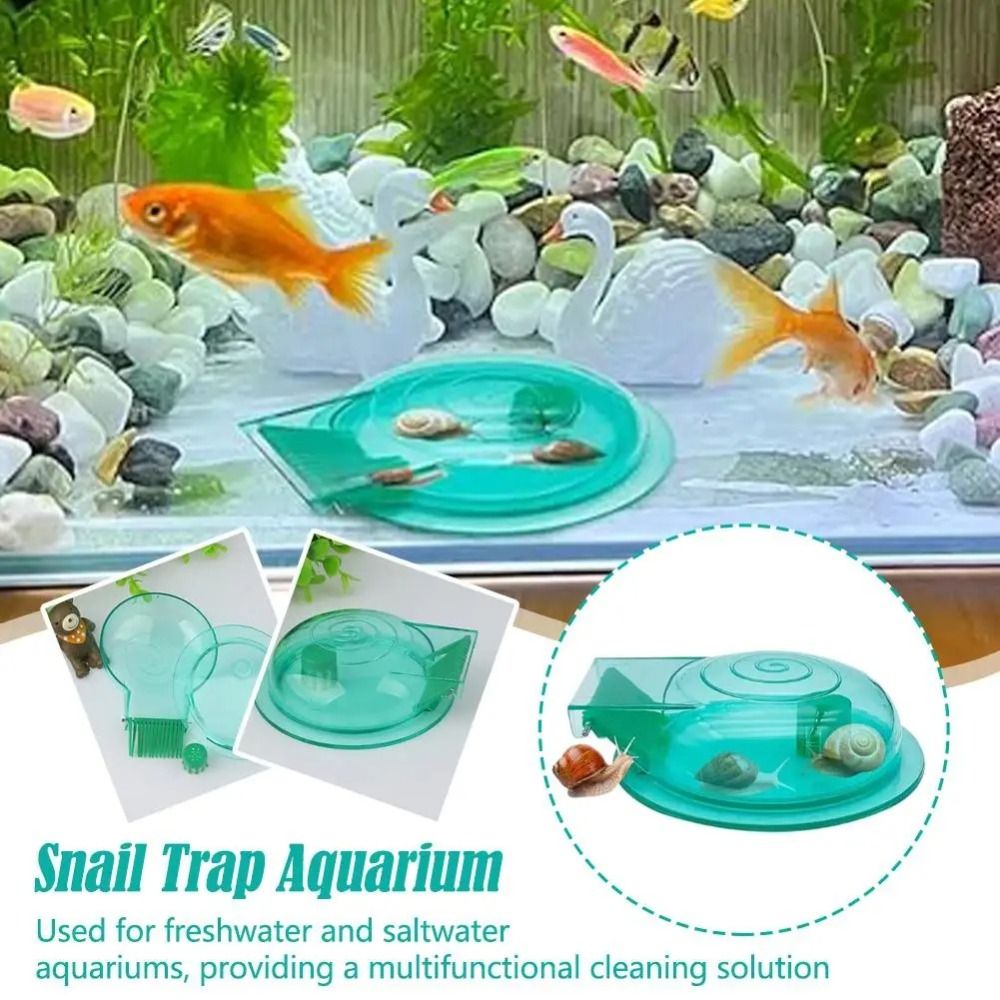 Aquarium Fish Eggs - Zoetwater Zoutwater Aquarium Slakkenval Effectieve multifunctionele