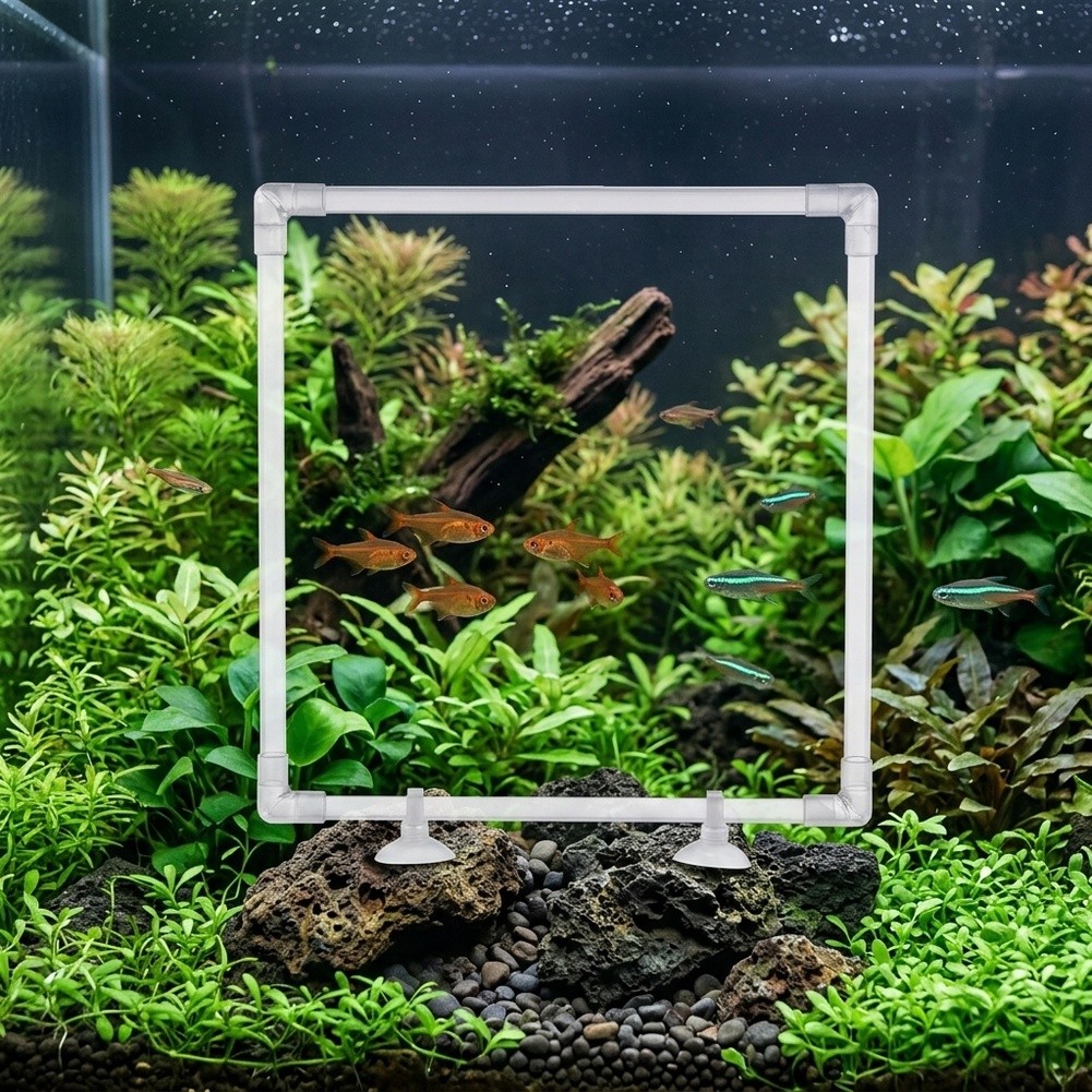 Aquarium Fish Zone - Aquarium drijvende plantenbak voor acryl aquariums