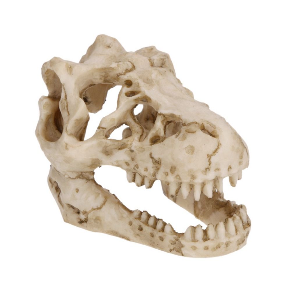 Creatieve Simulatie Dinosaurus - Aquarium Fish Hide recensie en prijs