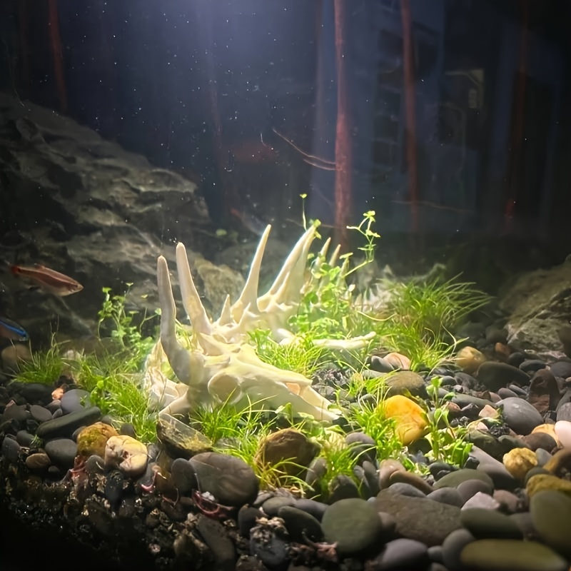 1 stuk drakenvormige visgraatd - Aquarium Fish Hide recensie en prijs