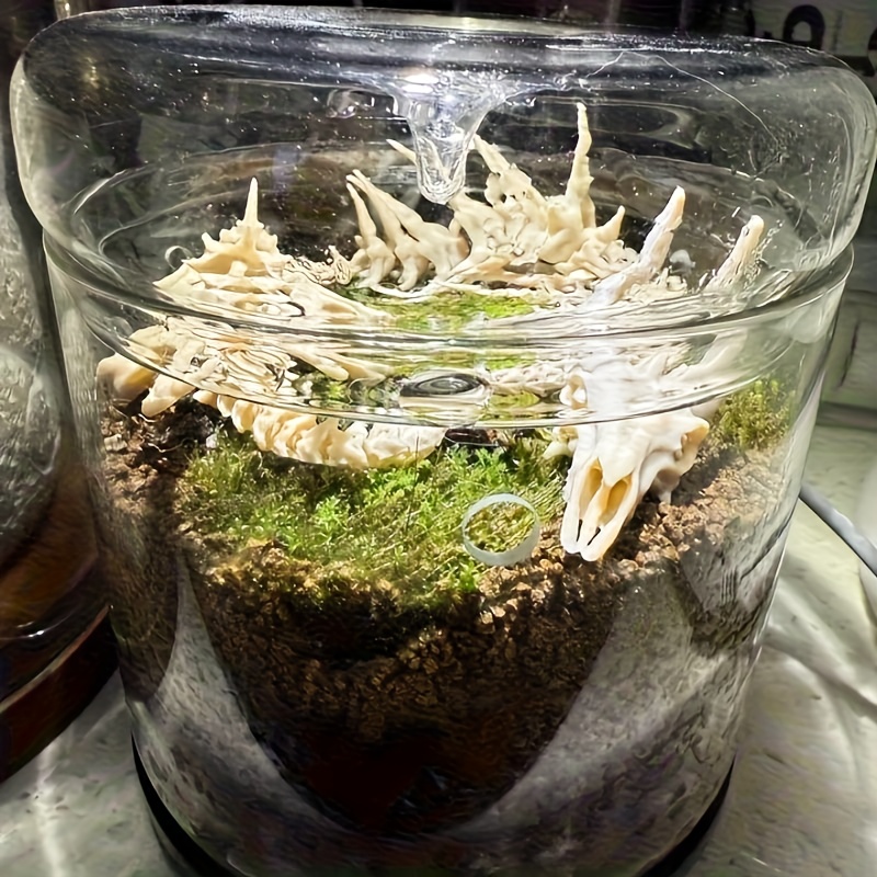 1 stuk drakenvormige visgraatd - Aquarium Fish Hide recensie en prijs