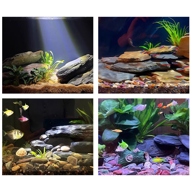 500/1000g Aquarium Landschap S - Aquarium Fish Saltwater recensie en prijs