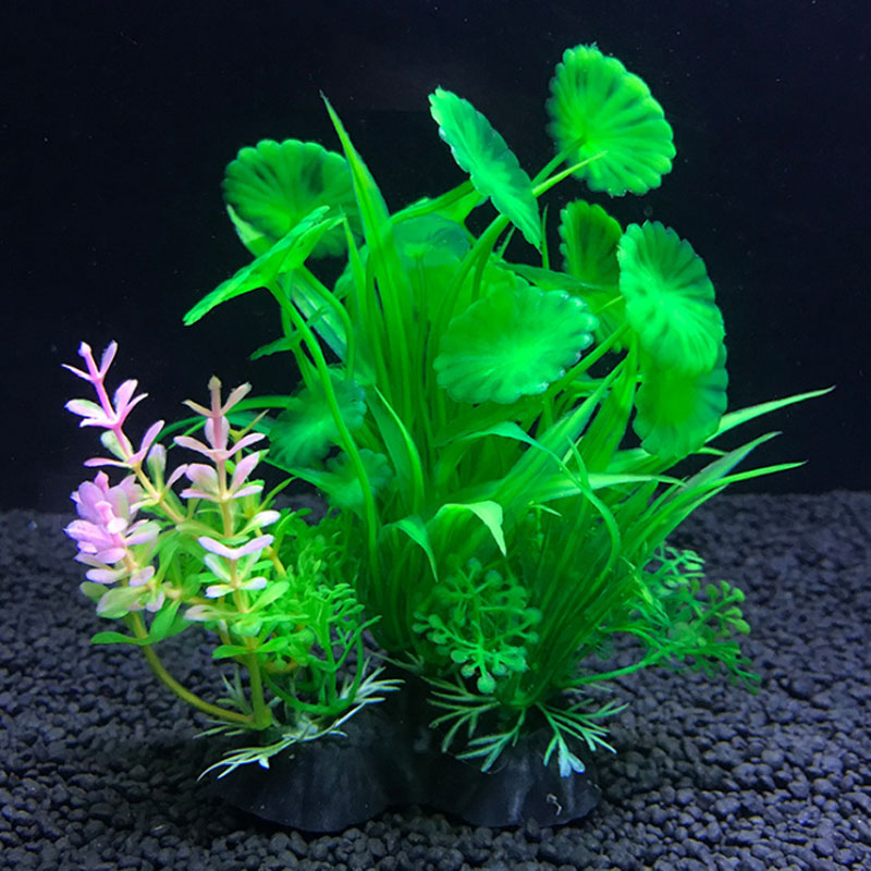 Aquariumdecoratie een verschei - Aquarium Fish Variety recensie en prijs