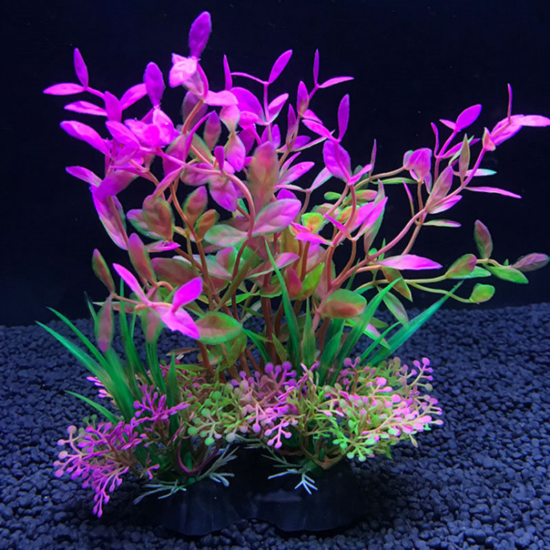 Aquariumdecoratie een verschei - Aquarium Fish Variety recensie en prijs