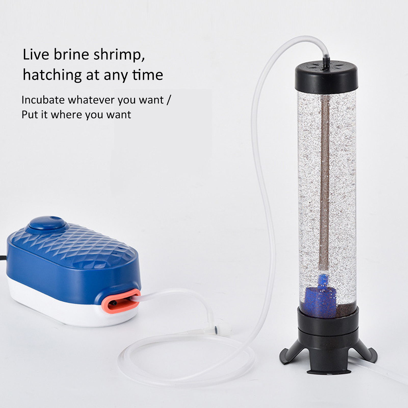 Vis Hatch Tool Artemia Eieren  - Aquarium Fish Eggs recensie en prijs