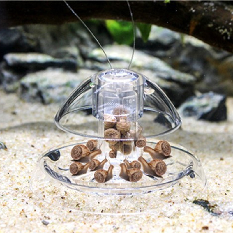 1PCS Aquarium Aquarium Cleaner - Aquarium Fish Eggs recensie en prijs