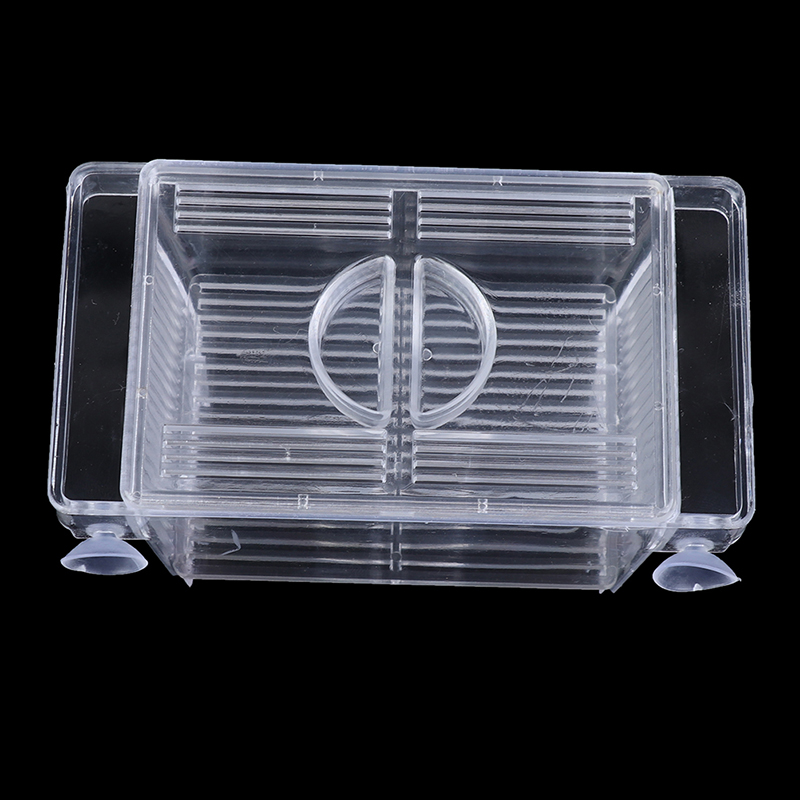 Aquarium Aquarium Guppy Dubbel - Aquarium Fish Eggs recensie en prijs