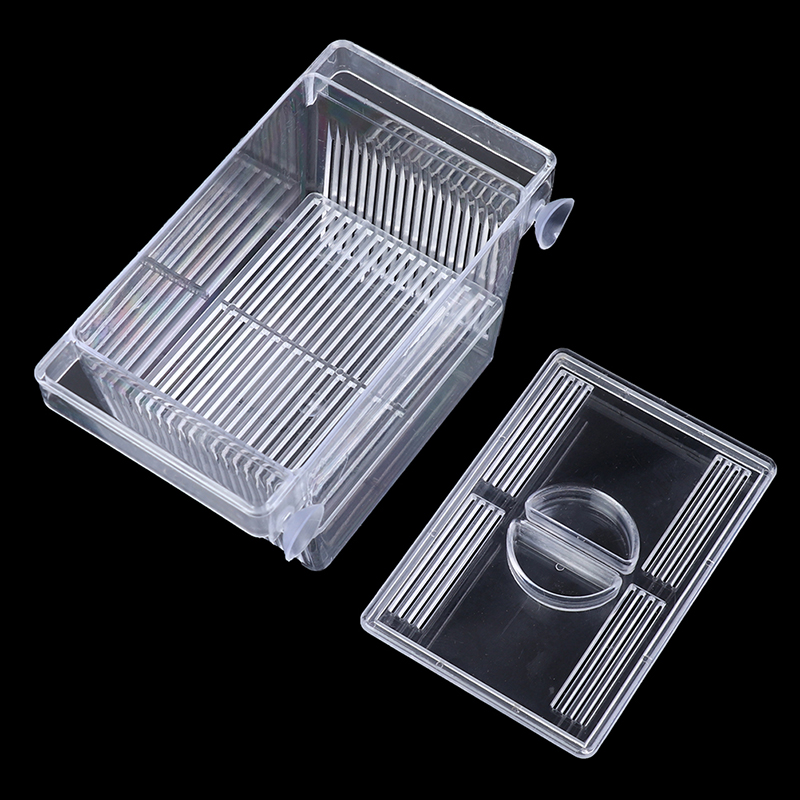 Aquarium Aquarium Guppy Dubbel - Aquarium Fish Eggs recensie en prijs