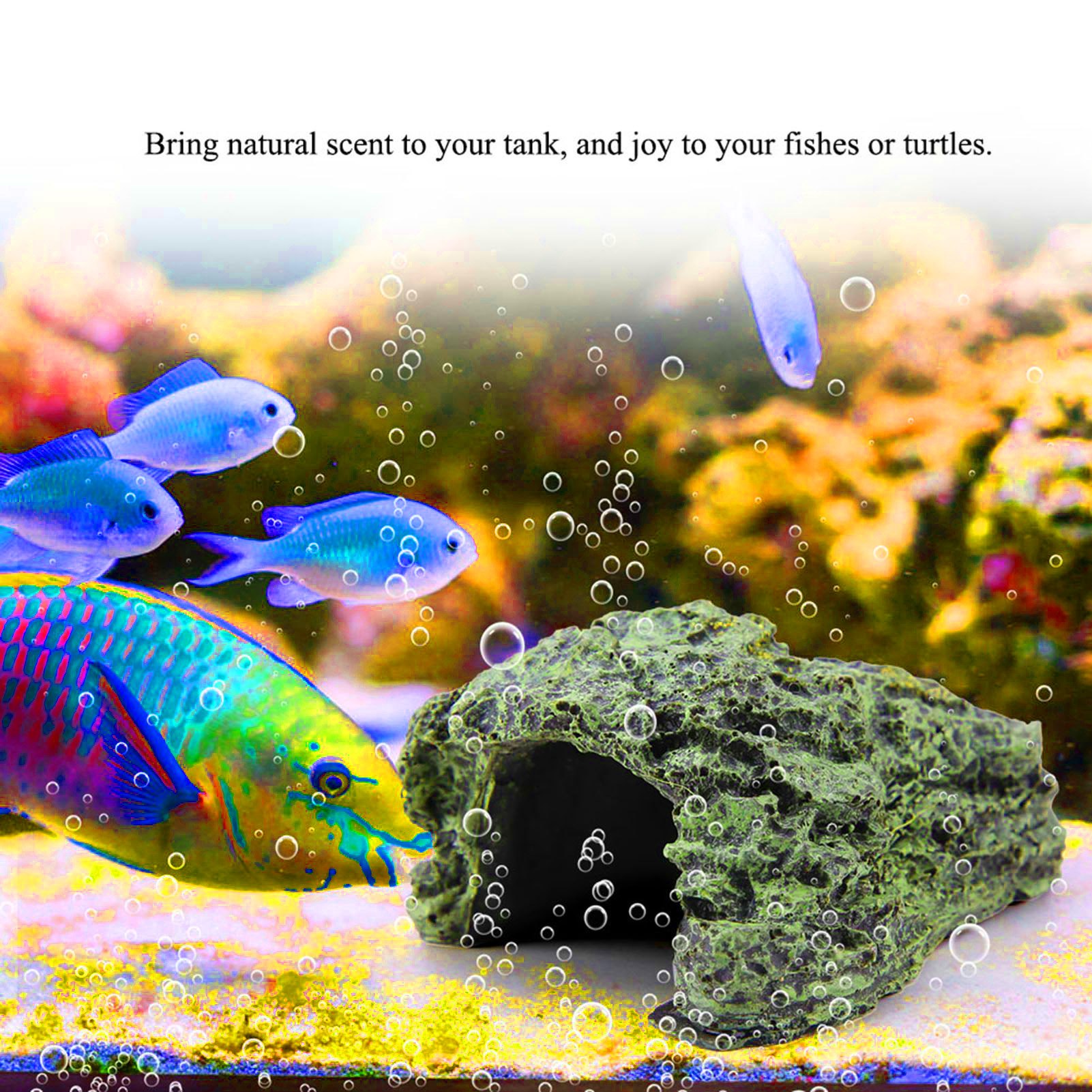 Reptielenhol, schildpadden zon - Aquarium Fish Hide recensie en prijs