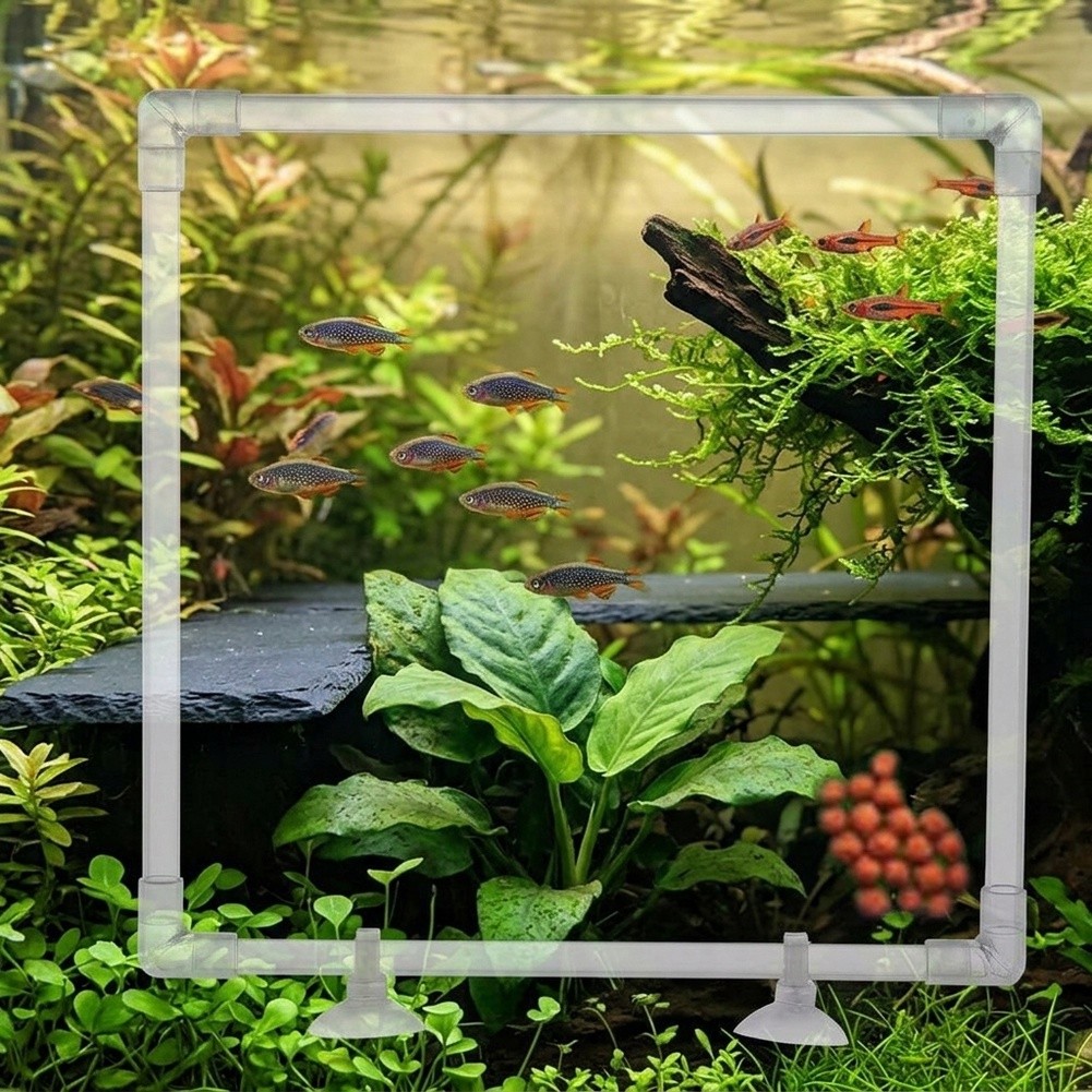 Aquarium drijvende plantenbak  - Aquarium Fish Zone recensie en prijs