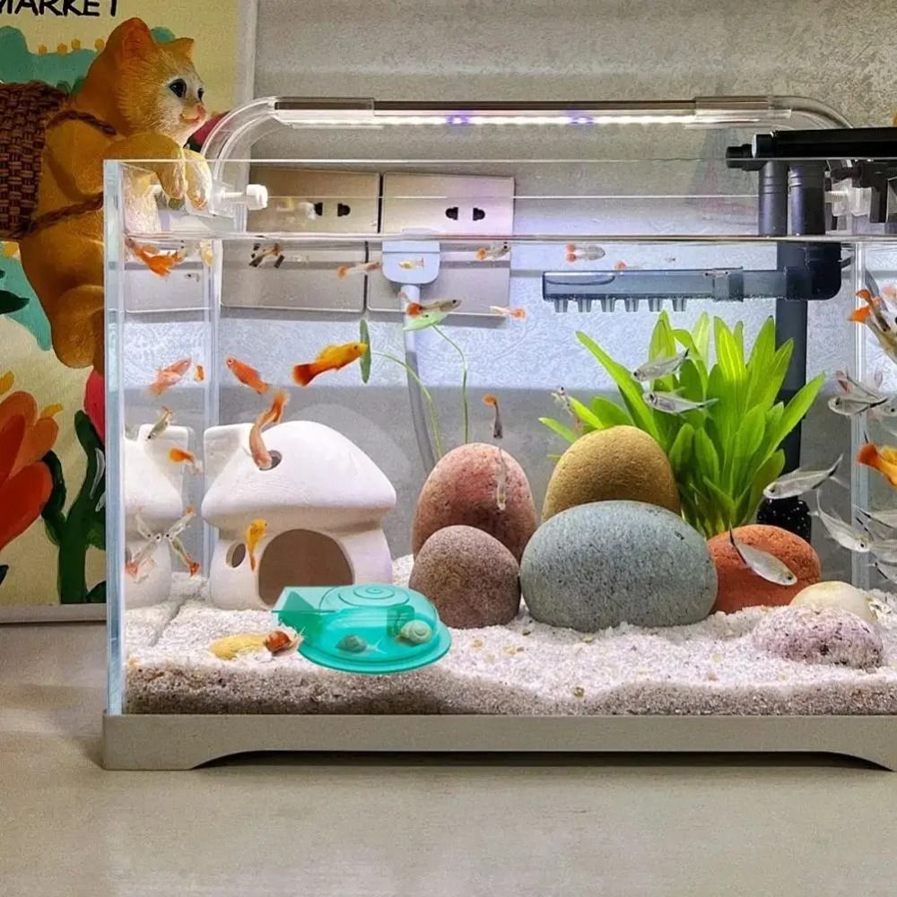 Zoetwater Zoutwater Aquarium S - Aquarium Fish Eggs recensie en prijs