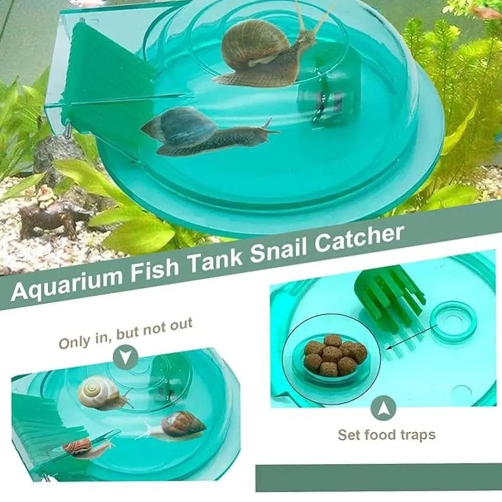 Zoetwater Zoutwater Aquarium S - Aquarium Fish Eggs recensie en prijs