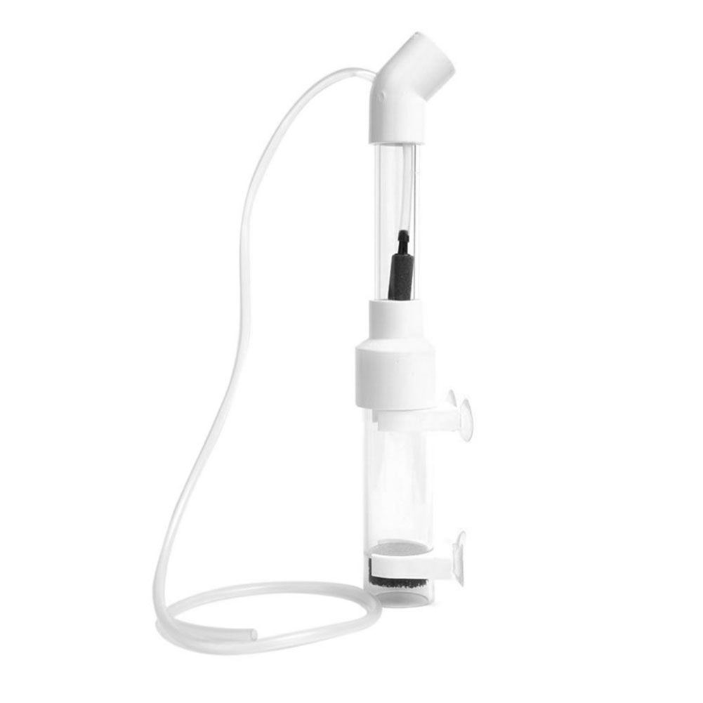 40mm Aquarium Cichliden Broede - Aquarium Fish Eggs recensie en prijs