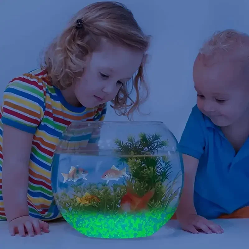 1000 stks 3-5mm Lichtgevende Z - Aquarium Fishing recensie en prijs
