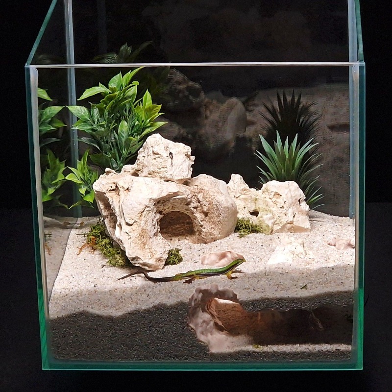 3D-geprint visaquariumtunnelhu - Aquarium Fish Hide recensie en prijs