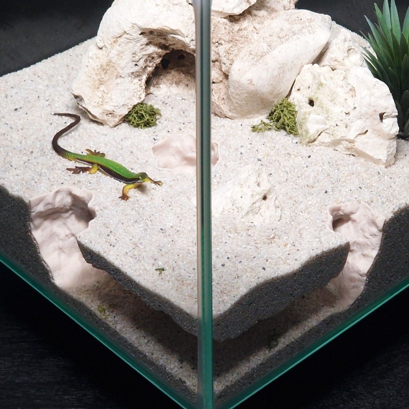3D-geprint visaquariumtunnelhu - Aquarium Fish Hide recensie en prijs