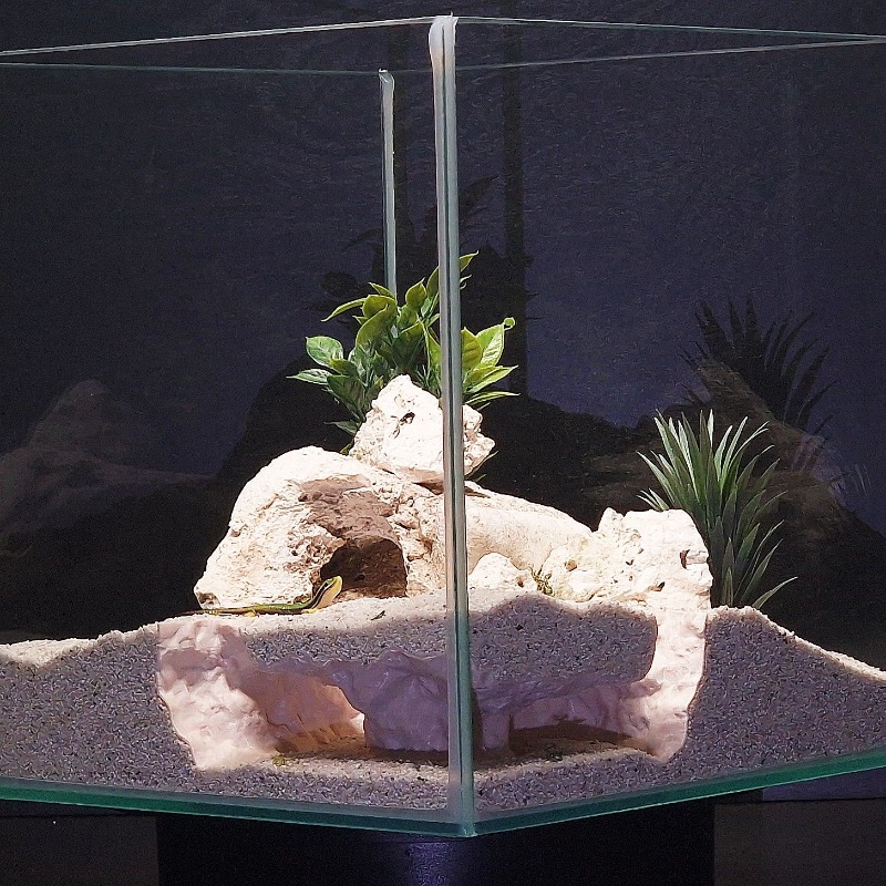 3D-geprint visaquariumtunnelhu - Aquarium Fish Hide recensie en prijs