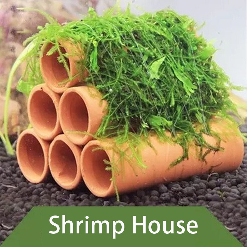Klei Aquarium Decoratie Vis Ga - Aquarium Fish Hide recensie en prijs