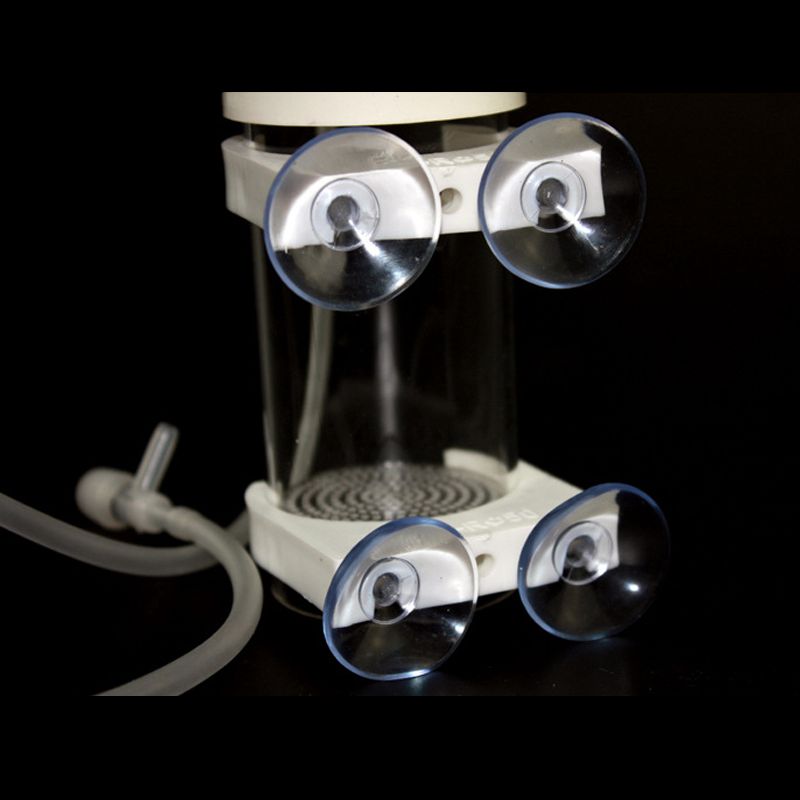 Aquarium Cichliden Tumbler Vis - Aquarium Fish Eggs recensie en prijs