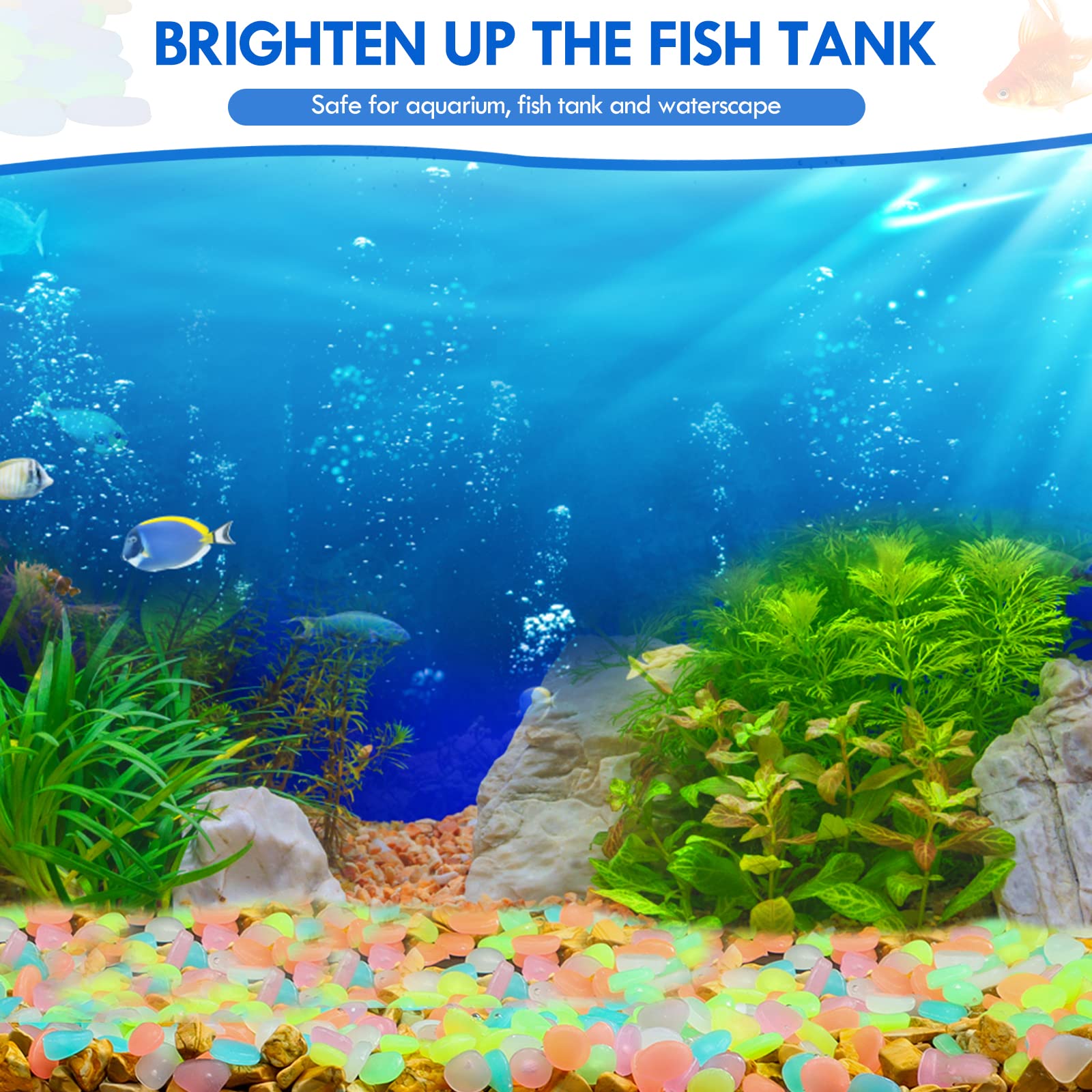 100 Stuks Glow in The Dark Tui - Aquarium Fish Saltwater recensie en prijs