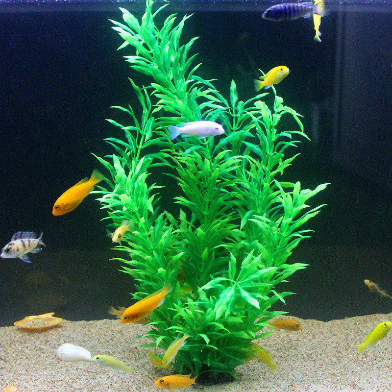 50CM Kunstmatige Aquarium Zeld - Aquarium Fish Saltwater recensie en prijs