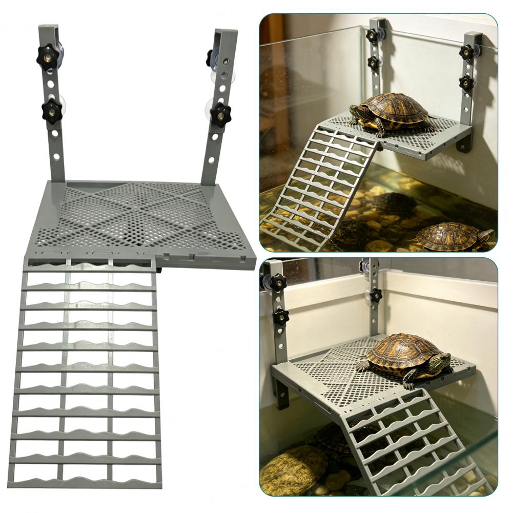 Aquariumdecoratie, massief han - Aquarium Fish Saltwater recensie en prijs