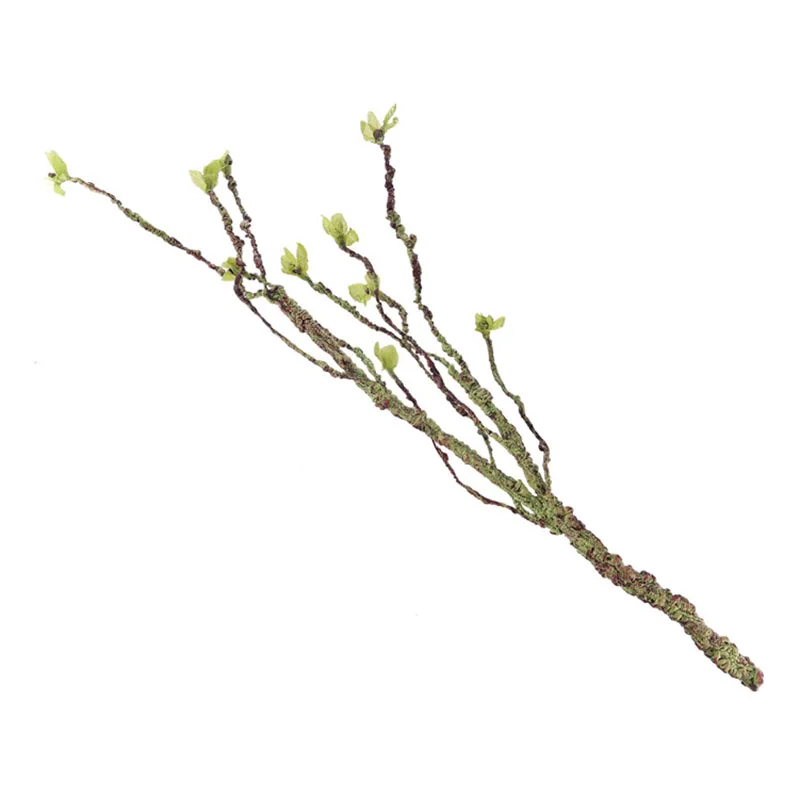 Wijnstokken Decor Klimtakken H - Aquarium Fish Saltwater recensie en prijs