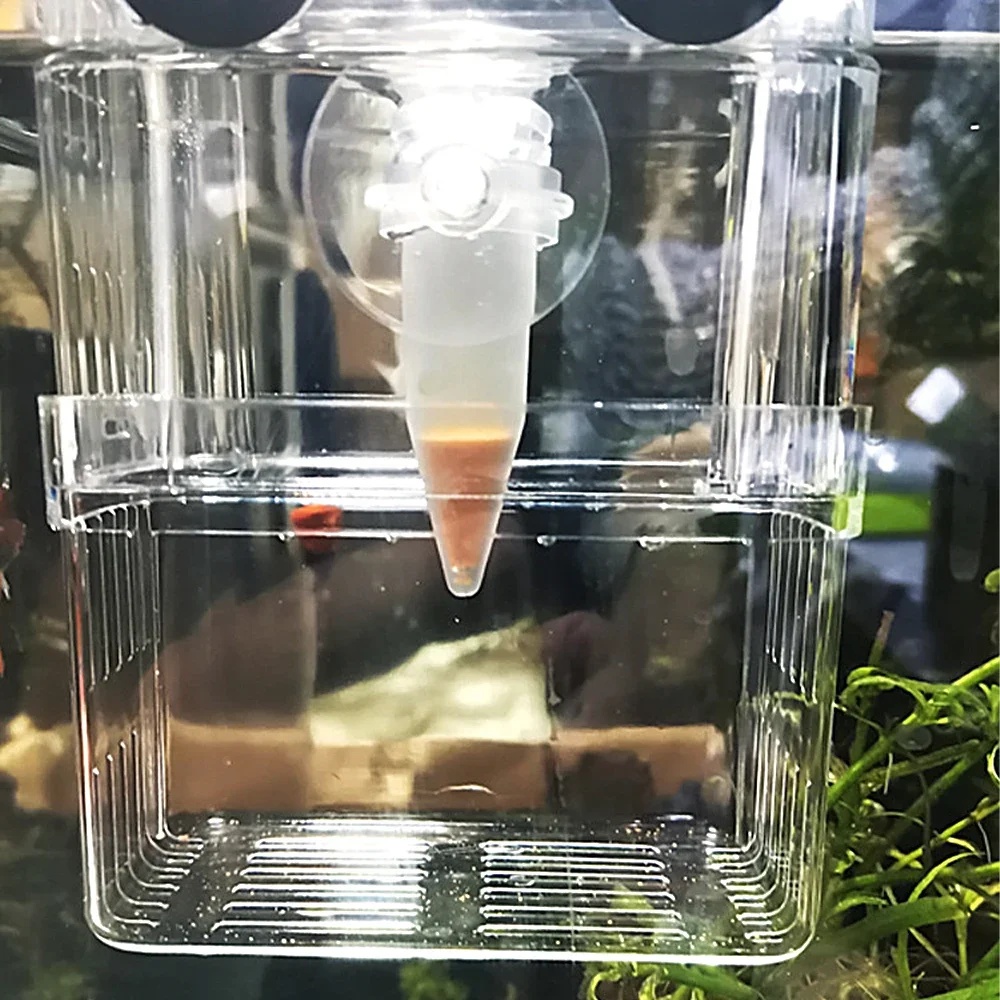 Automatische Vis Feeder Kegel  - Aquarium Fish Eggs recensie en prijs