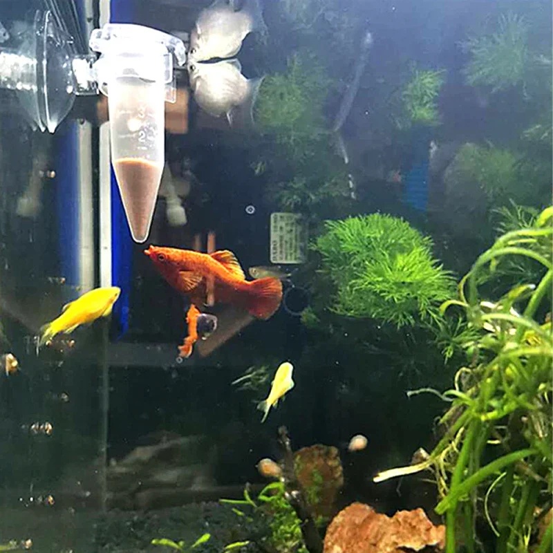 Automatische Vis Feeder Kegel  - Aquarium Fish Eggs recensie en prijs