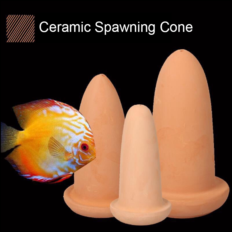 Keramische lauwende raskegel v - Aquarium Fish Hide recensie en prijs